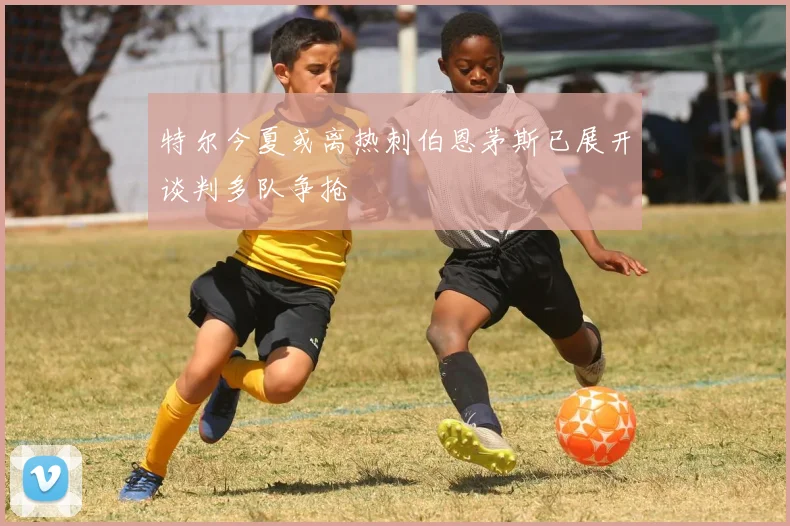 特尔今夏或离热刺伯恩茅斯已展开谈判多队争抢